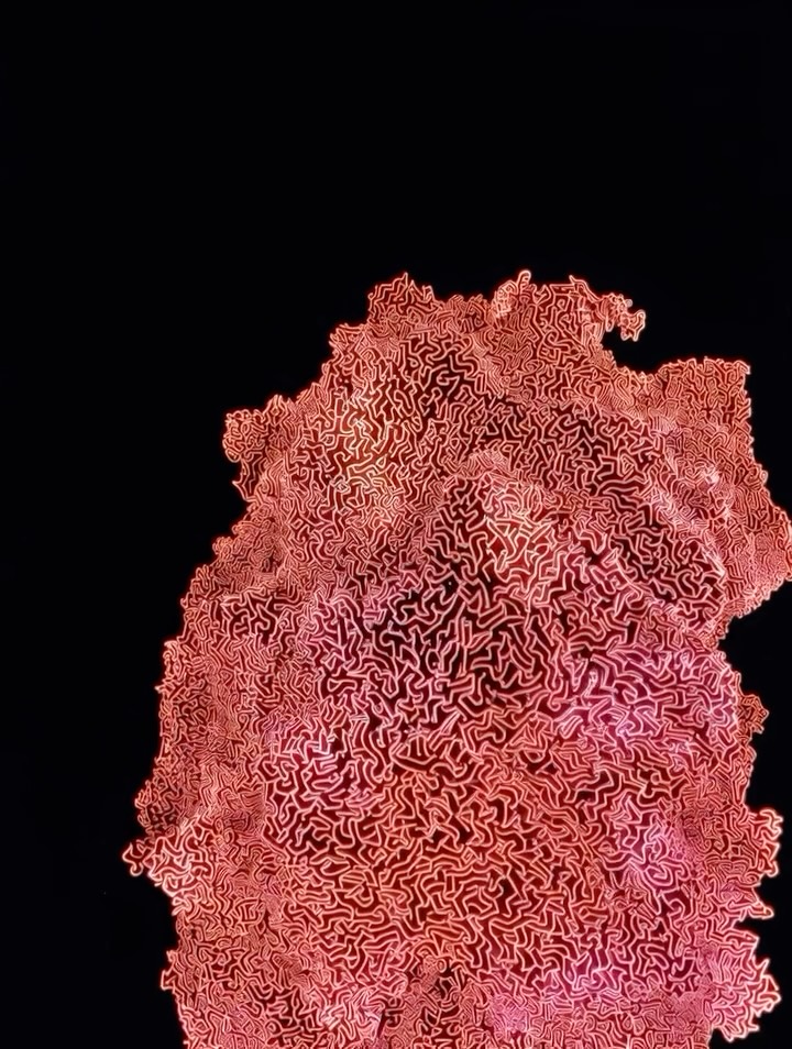 Walking on a dream — dense coral maze line form in red neon
